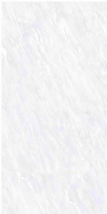 OL Vivid White Polished 12 x 24